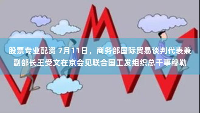 股票专业配资 7月11日，商务部国际贸易谈判代表兼副部长王受文在京会见联合国工发组织总干事穆勒