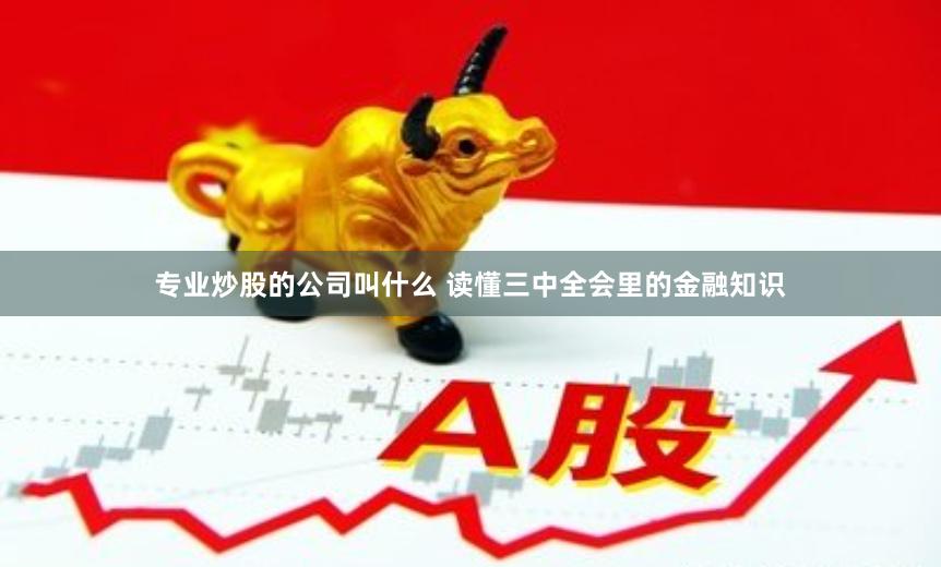 专业炒股的公司叫什么 读懂三中全会里的金融知识