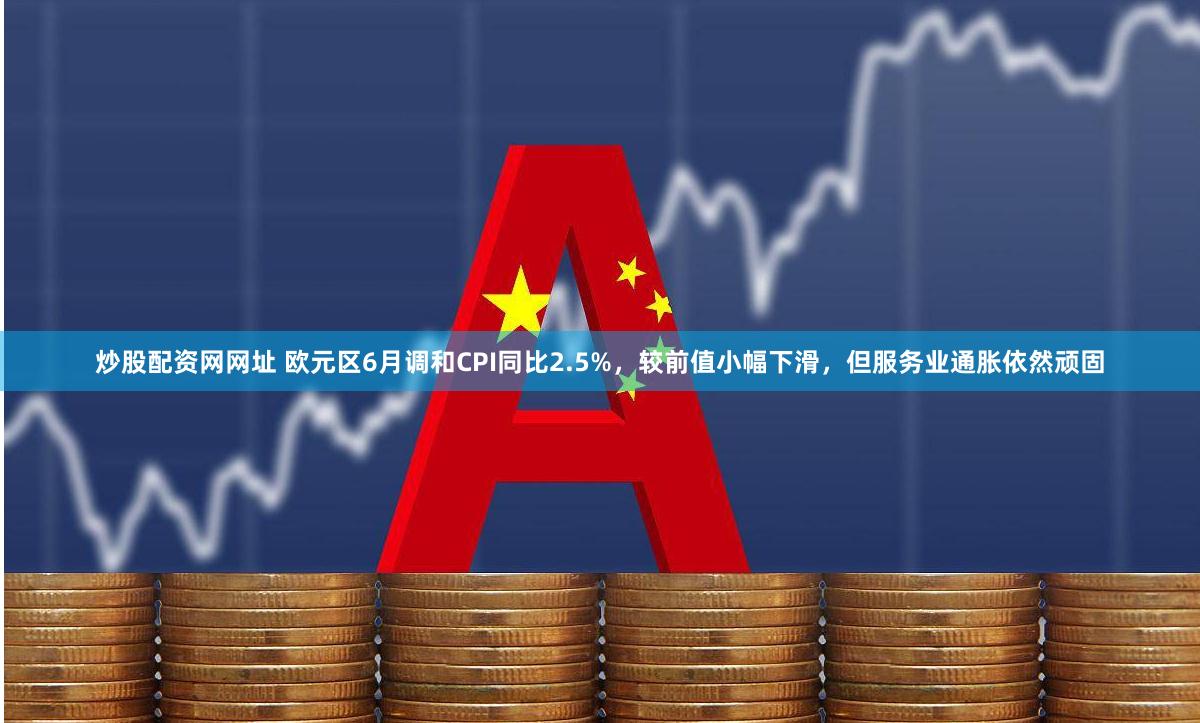 炒股配资网网址 欧元区6月调和CPI同比2.5%，较前值小幅下滑，但服务业通胀依然顽固