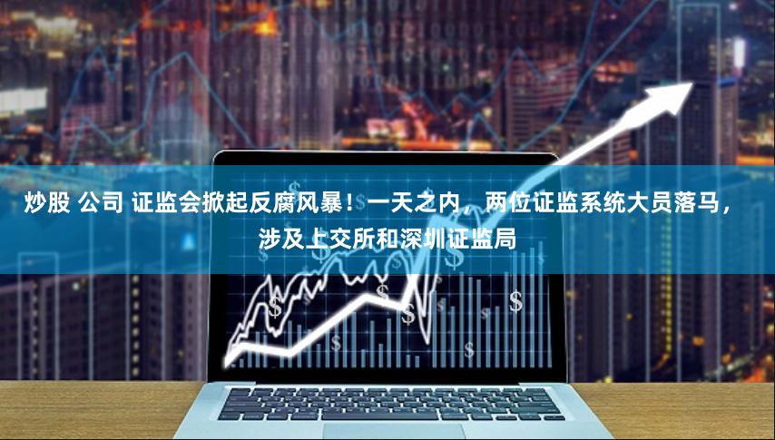 炒股 公司 证监会掀起反腐风暴！一天之内，两位证监系统大员落马， 涉及上交所和深圳证监局