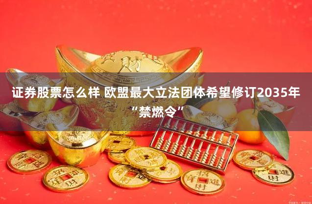 证券股票怎么样 欧盟最大立法团体希望修订2035年“禁燃令”