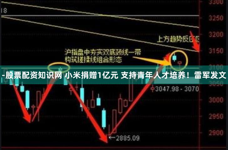 -股票配资知识网 小米捐赠1亿元 支持青年人才培养！雷军发文