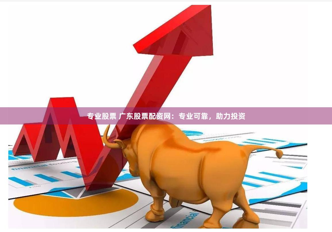 专业股票 广东股票配资网：专业可靠，助力投资