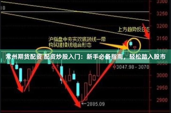 常州期货配资 配资炒股入门：新手必备指南，轻松踏入股市