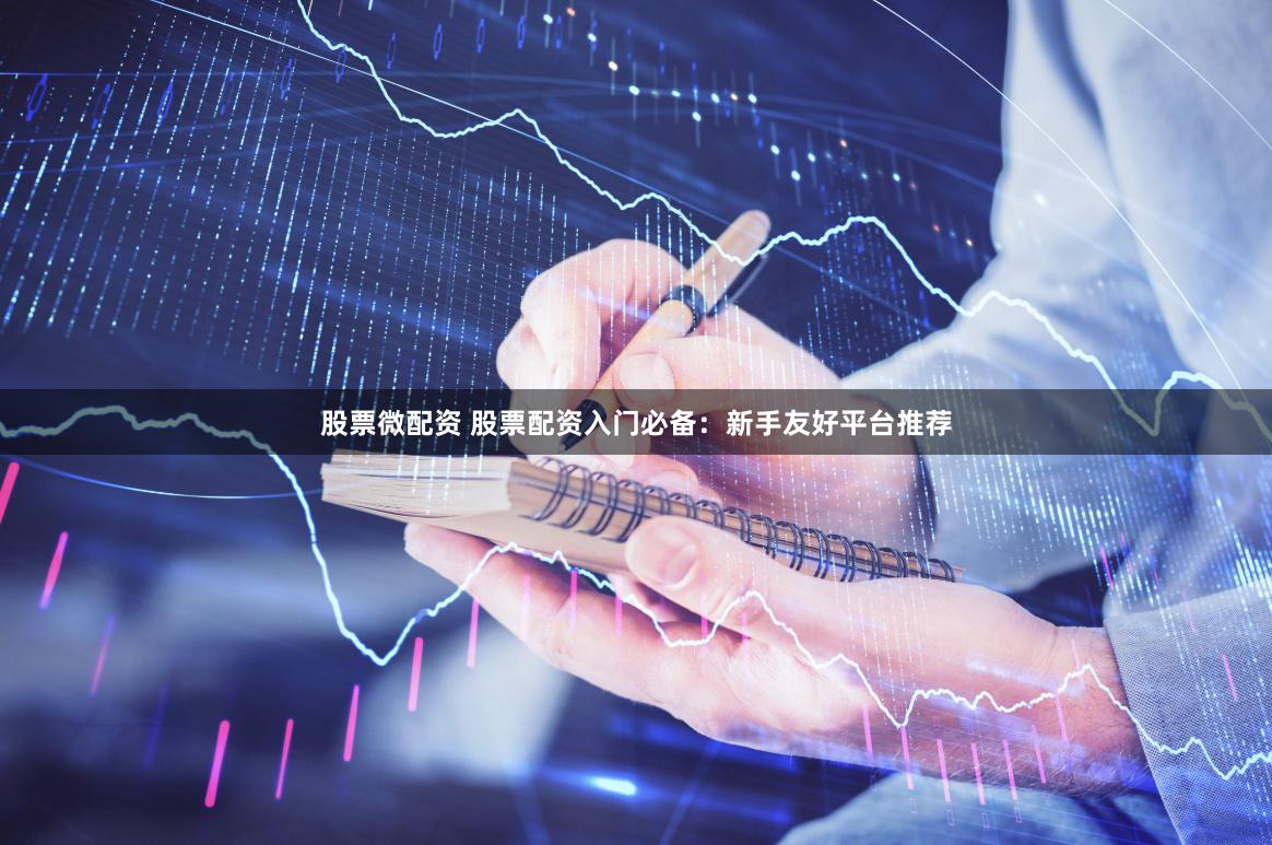 股票微配资 股票配资入门必备：新手友好平台推荐